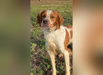 Fish - Es gibt eine freundliche Welt.....