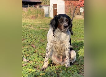 Eros- Wenn ein Wegwerfartikel ein Herz hat
