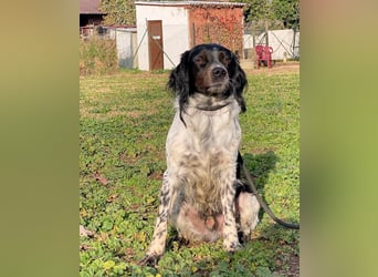 Eros - wenn Vertrauen langsam zurückkehrt