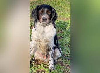 Eros- Wenn ein Wegwerfartikel ein Herz hat