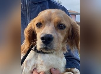 Uliana - Der Sinn des Lebens....