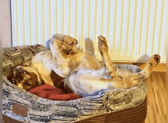 Fish - Es gibt eine freundliche Welt.....