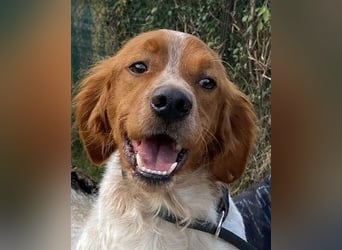 Steve - Freundlichkeit muss sich doch auszahlen