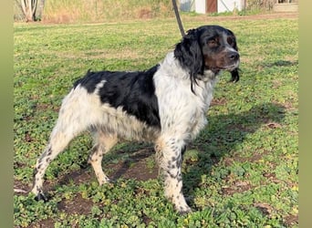 Eros- Wenn ein Wegwerfartikel ein Herz hat