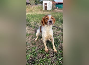 Fish - Es gibt eine freundliche Welt