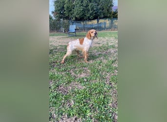 Uliana - Der Sinn des Lebens....