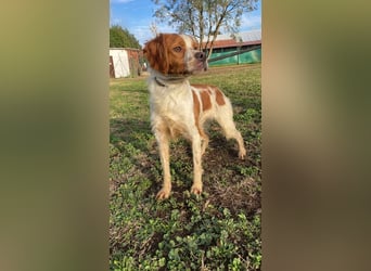 Fish - Es gibt eine freundliche Welt