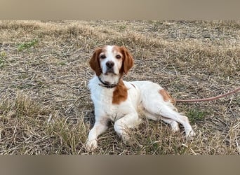 Giotto - wer sagt eigentlich, dass Abenteuer ein Alter haben?