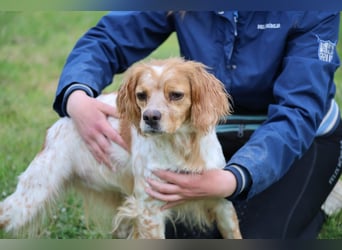 Uliana - Der Sinn des Lebens....