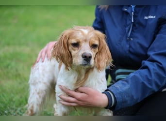 Uliana - Der Sinn des Lebens....