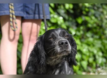 Samira - Gerettet, angekommen, bereit für ein neues Leben