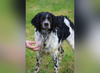 Eros- Nähe, Vertrauen und einfach dazugehören