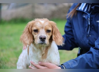 Uliana - Der Sinn des Lebens....