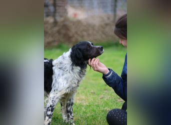 Eros- Nähe, Vertrauen und einfach dazugehören