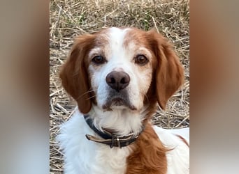 Giotto - Passt zu so viel mehr als nur zum Kaffee!