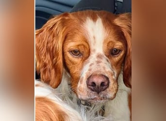 Fish - Es gibt eine freundliche Welt.....