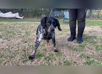 Samira - Gerettet, angekommen, bereit für ein neues Leben