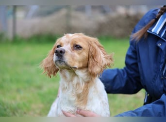 Uliana - Der Sinn des Lebens....