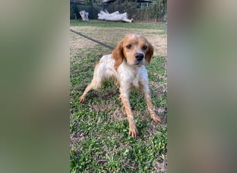 Uliana - Der Sinn des Lebens....