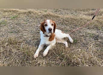 Giotto - wer sagt eigentlich, dass Abenteuer ein Alter haben?