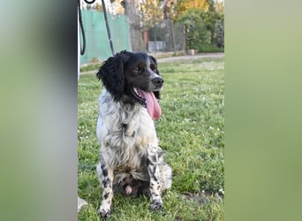 Eros- Nähe, Vertrauen und einfach dazugehören