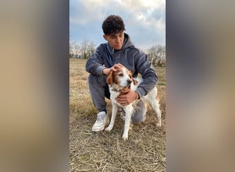 Giotto - wer sagt eigentlich, dass Abenteuer ein Alter haben?