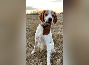 Giotto - wer sagt eigentlich, dass Abenteuer ein Alter haben?