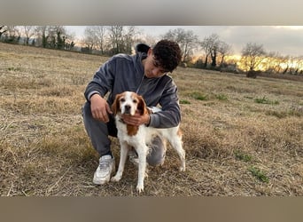 Giotto - wer sagt eigentlich, dass Abenteuer ein Alter haben?