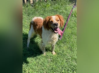 Hugo sucht sein eigenes Körbchen