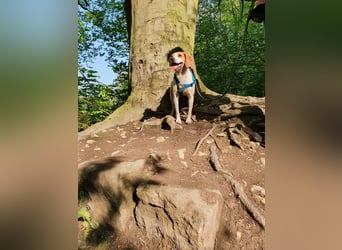 Bretonin sucht neuen Wirkungskreis