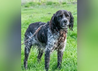 Xico – leicht zu erziehen