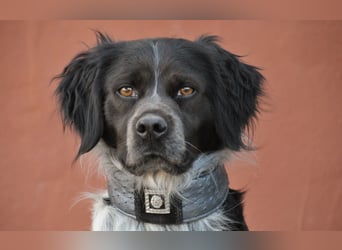 Willst du mit Rufo durchs Leben gehen?