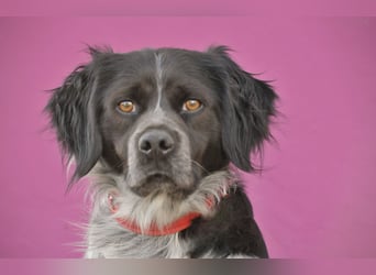 Willst du mit Rufo durchs Leben gehen?