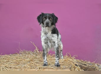 Willst du mit Rufo durchs Leben gehen?