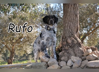 Willst du mit Rufo durchs Leben gehen?