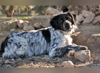 Willst du mit Rufo durchs Leben gehen?