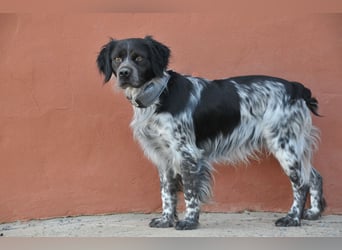 Willst du mit Rufo durchs Leben gehen?