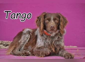 Zeigst du Tango wie sich echte Geborgenheit anfühlt?