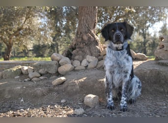 Willst du mit Rufo durchs Leben gehen?