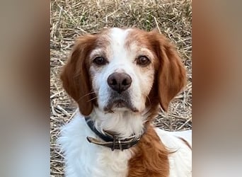 Giotto - Passt zu so viel mehr als nur zum Kaffee!