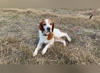 Giotto - Passt zu so viel mehr als nur zum Kaffee!