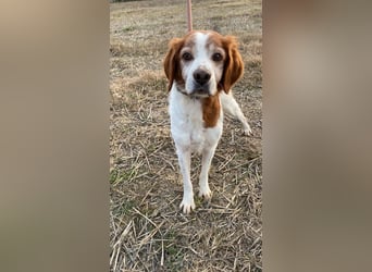 Giotto - Passt zu so viel mehr als nur zum Kaffee!