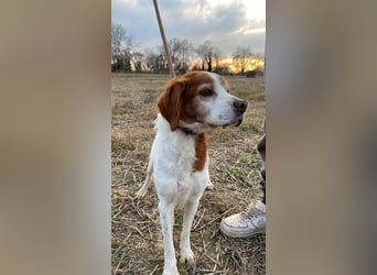 Giotto - Passt zu so viel mehr als nur zum Kaffee!