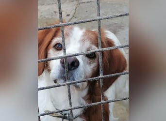 Giotto - Passt zu so viel mehr als nur zum Kaffee!