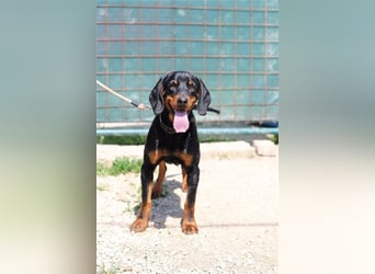 OTTO - das freundliche Powerpaket sucht eine unternehmungslustige Familie