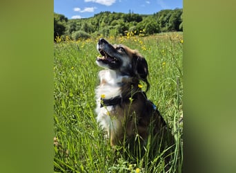 Fenja, ein zartes Wesen sucht seine Familie, PS 34346 Hann.Münden