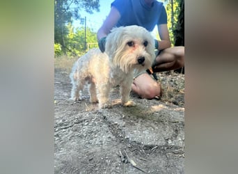 Casper, geboren 06.12.2023, 24cm sucht seine Menschen