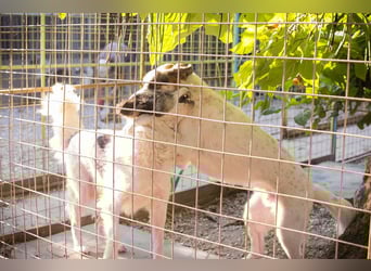 Mina: Ruhige Seele mit großem Herz