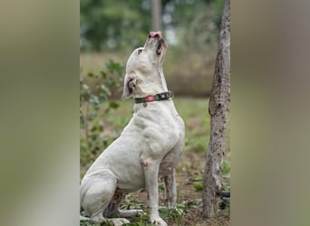 Natasa-DG, sucht neue Couch zum Schlafen !
