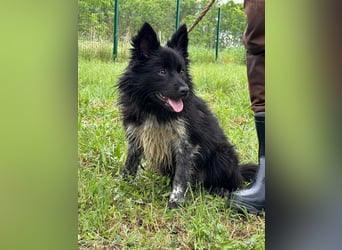 Zoya, geboren 25.09.2024, 40cm sucht ihr Zuhause